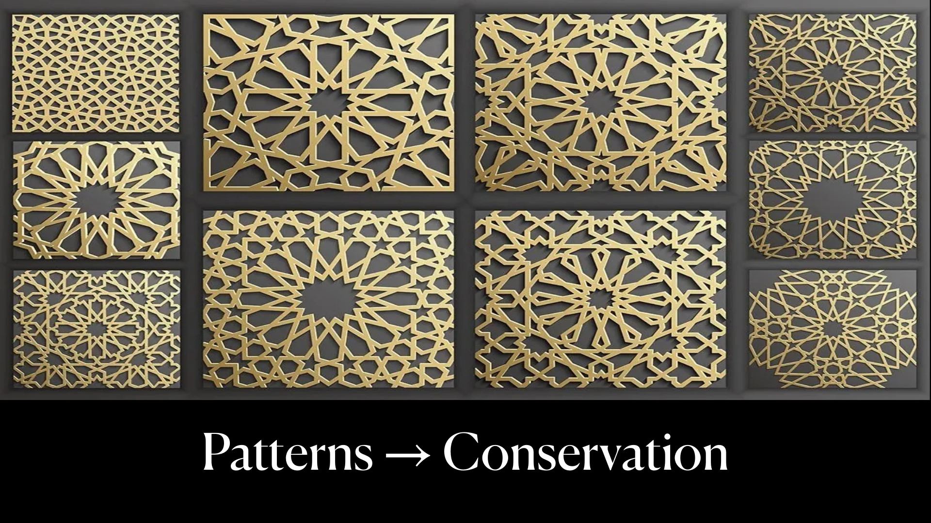 Decorative geometric patterns above the words Patterns to Conservation.